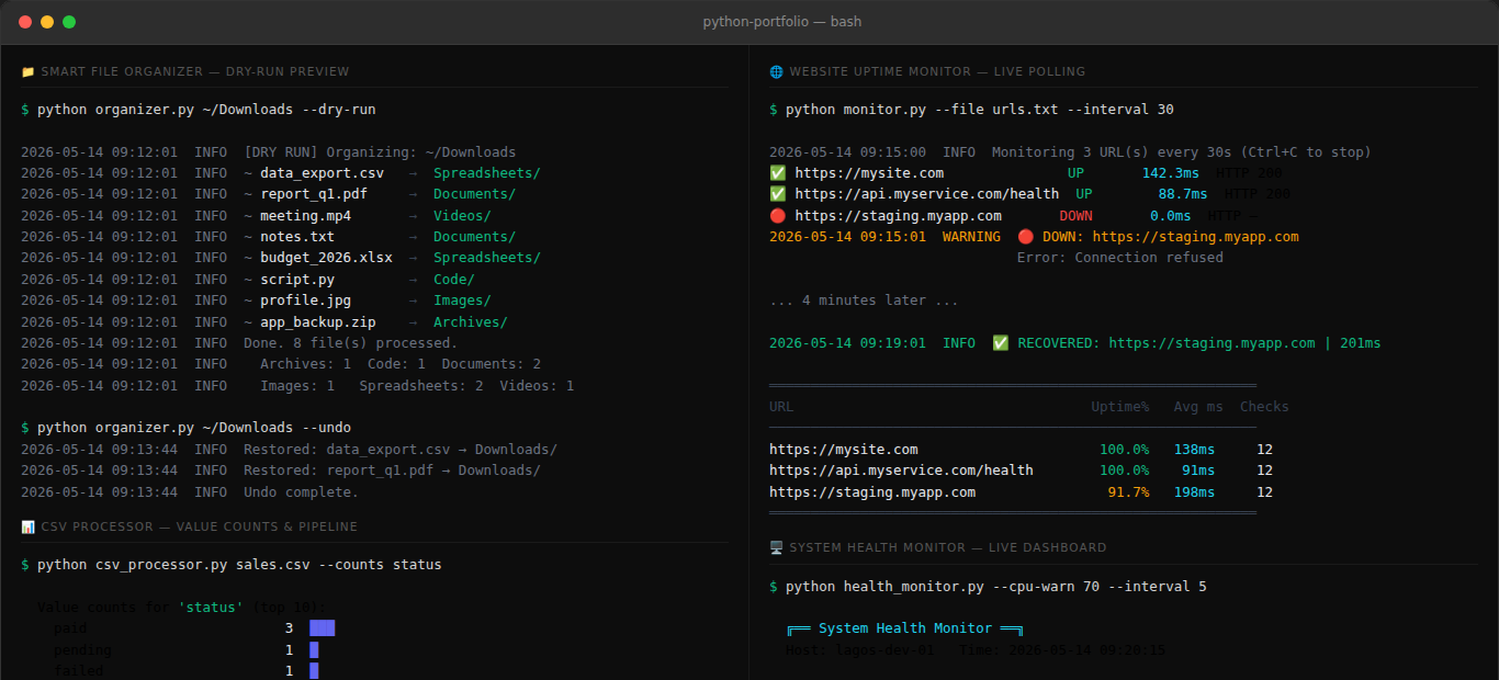Python Automation Portfolio